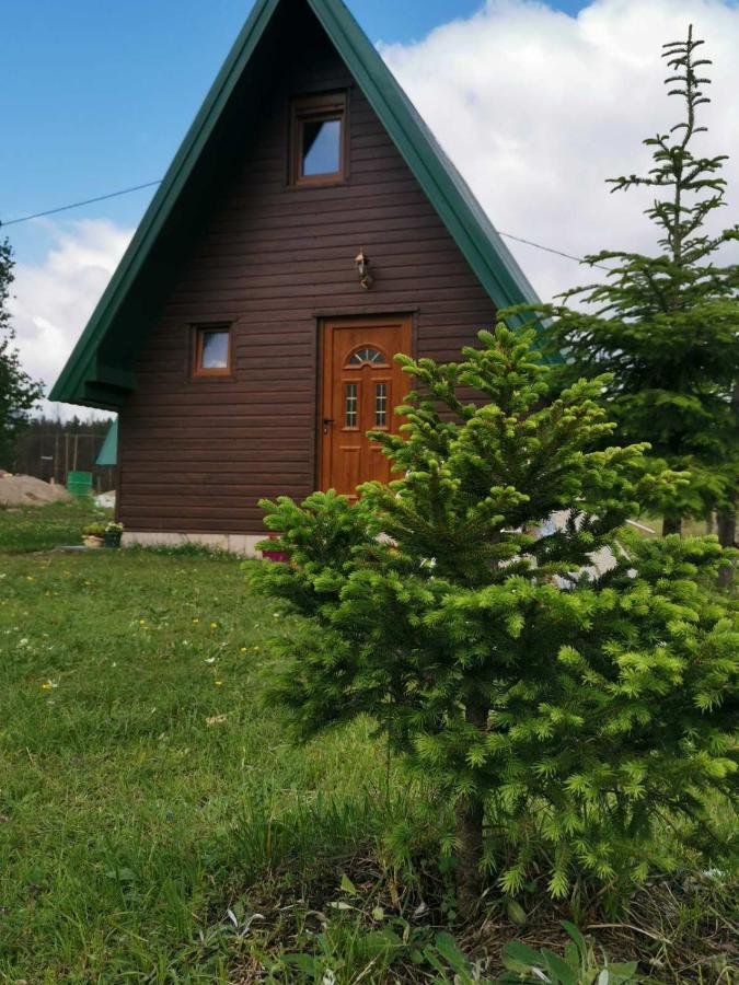 Willa Etno Koliba Nikoleta Žabljak Zewnętrze zdjęcie